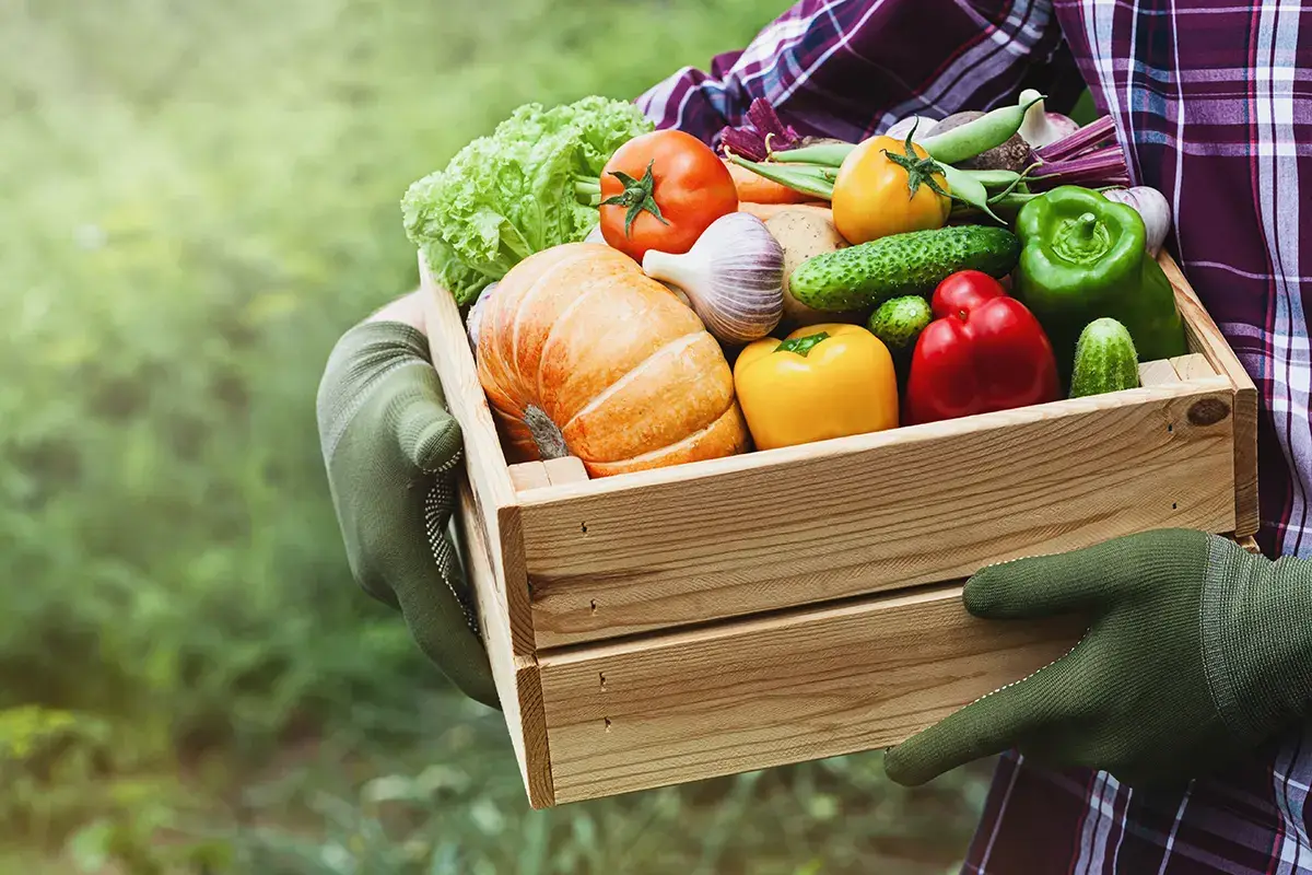 Serve un piano strategico che riguardi l'intera filiera nazionale del cibo Agroalimentare Confagricoltura chiede un piano strategico per la filiera nazionale del cibo